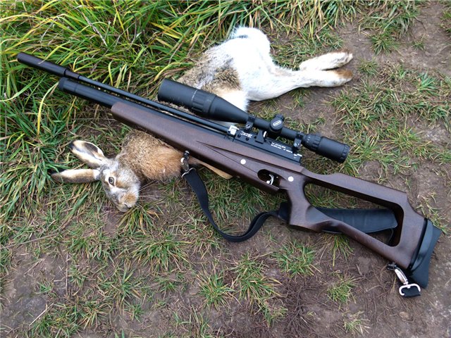 пневматические винтовки для охоты на мелкую дичь