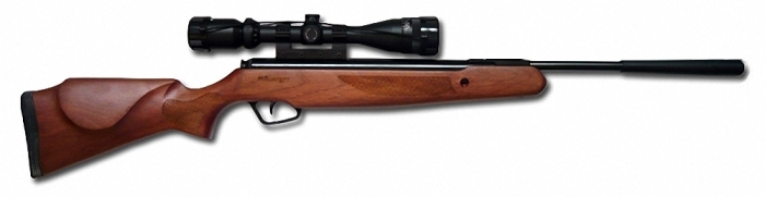 Пневматическая винтовка Stoeger X20 Wood Combo