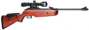 Gamo Hunter DX - пневматическая винтовка для опытных стрелков и начинающих